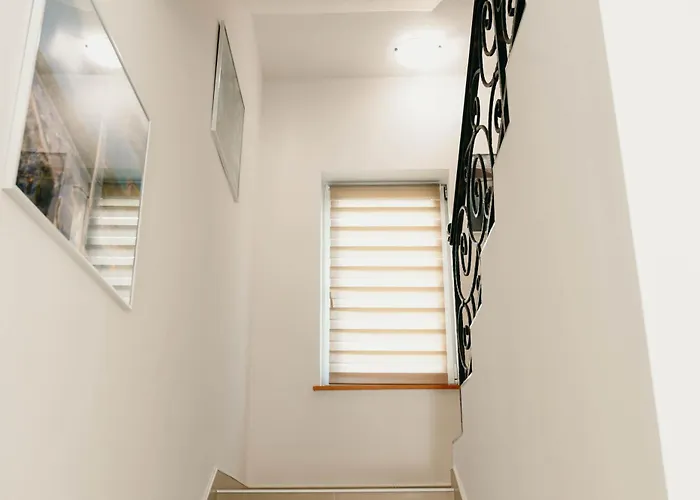 Marta Vila Mala Cista